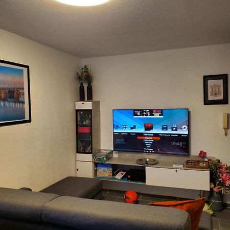 Appt Cosy Entier Avec Piscine Apartment Toulouse Exterior photo